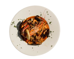Highly Recommended Dishes