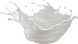 Dairy Products