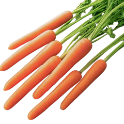 Carrots