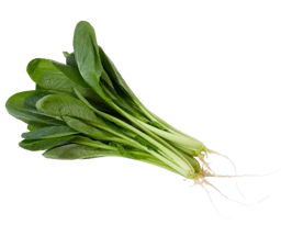Spinach